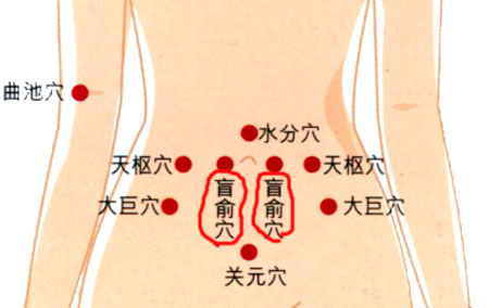 盲俞穴→治腹脹、便秘