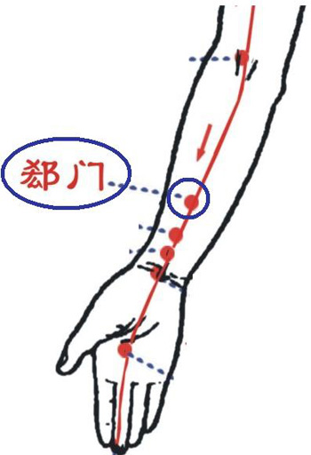 郄門穴→治心痛、心悸