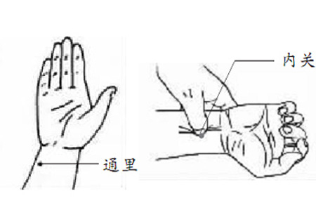 通里穴→預防心血管疾病