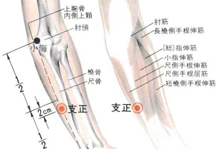 支正穴→治頭痛、目眩