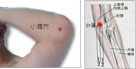 小海穴→治貧血、頭痛