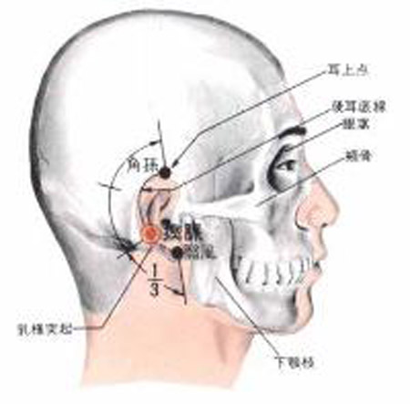 瘈脈穴→頭痛、耳聾