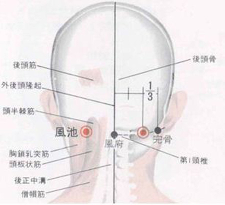 風(fēng)府穴→治頭面、五官疾病