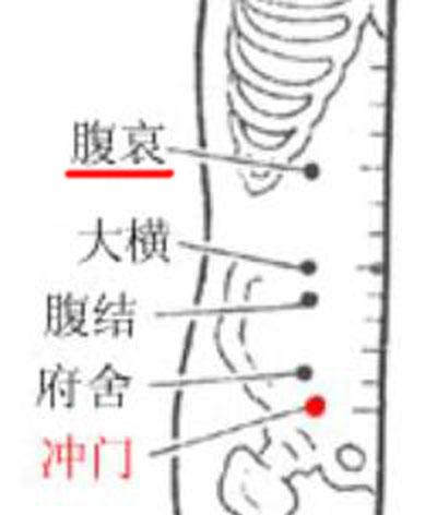 腹哀穴→治腹痛、便秘