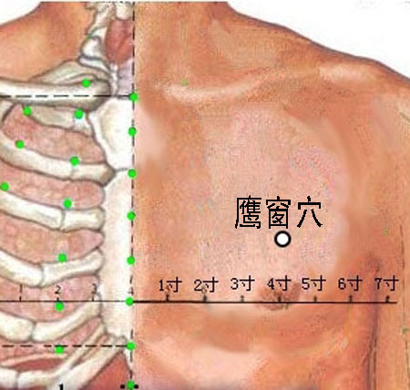 鷹窗穴→治咳嗽、氣喘