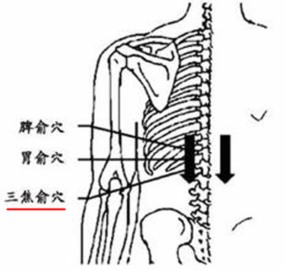 三焦俞穴→強腰利水