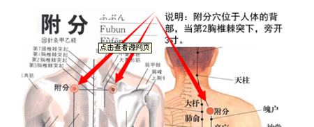 附分穴→治頸項強痛