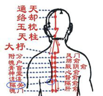 膈關(guān)穴→治胸悶、噯氣