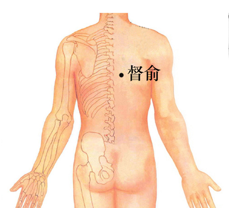 督俞穴→治心痛、胸悶