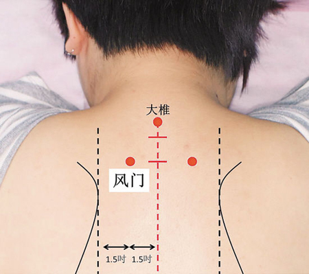 風(fēng)門穴→治傷風(fēng)、咳嗽