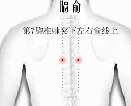 膈俞穴→治嘔吐、呃逆