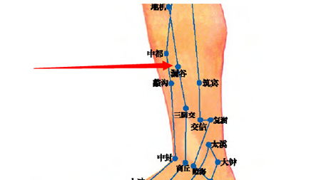 漏谷穴→治腹脹、腸鳴