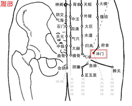 沖門穴→治腹痛、帶下