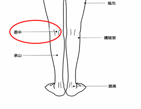 委中穴→治腰痛、腹痛。