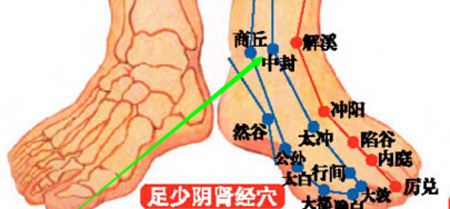 中封穴→治泌尿系統(tǒng)疾病