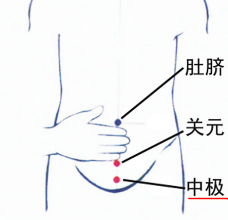 中極穴：補(bǔ)腎培元，調(diào)治陰挺、不孕