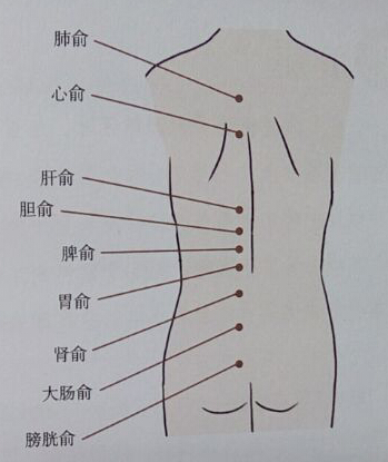  針灸治療糖尿病取穴