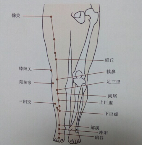 消化不良中醫(yī)針灸怎么調(diào)理