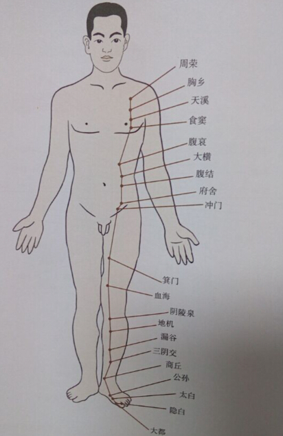 足太陰脾經(jīng)拔罐線路