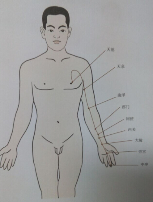 手厥陰心拔罐線路