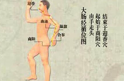 刮痧刮大腸經(jīng)，可以清理腸道、排出宿便