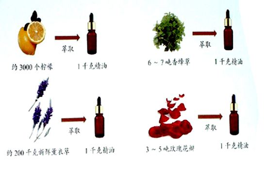 精油的萃取量