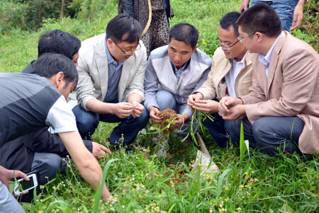 貴州：李廷學(xué)視察縣中藥材種植情況