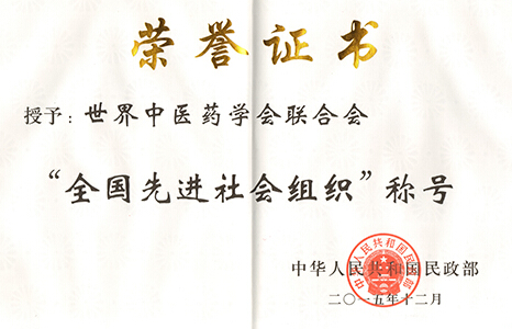 世界中醫(yī)藥學(xué)會(huì)被評(píng)為全國(guó)先進(jìn)社會(huì)組織