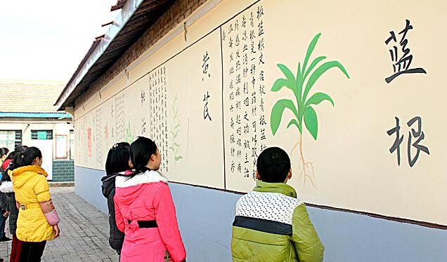 甘肅省慶陽(yáng)市慶城縣南莊九年制學(xué)校建起中藥知識(shí)文化墻