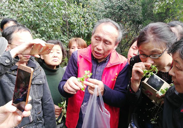 春游踏青尋百草，跟名中醫(yī)認(rèn)草藥