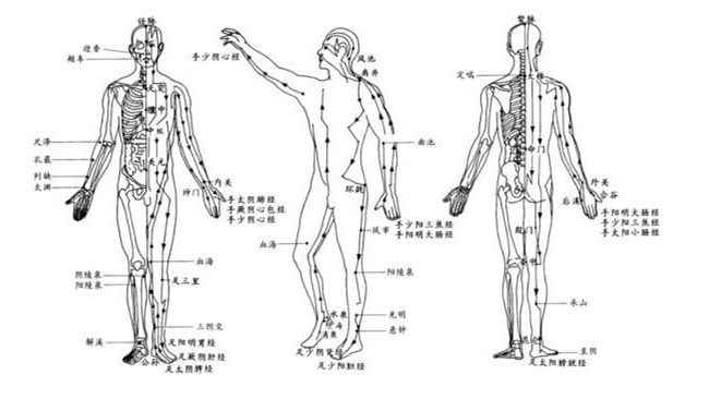 經(jīng)絡是人體經(jīng)脈和絡脈的總稱