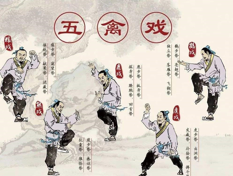 華佗，外科鼻祖，發(fā)明麻沸散、五禽戲