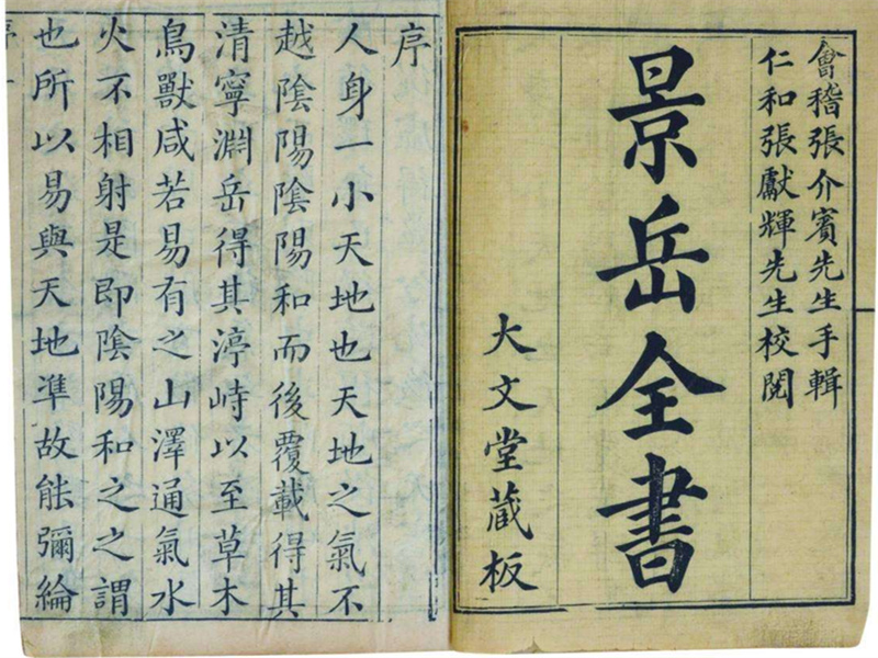 《景岳全書》