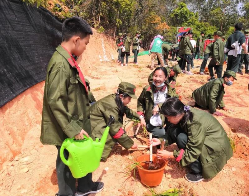 勞動(dòng)實(shí)踐：種植萱草