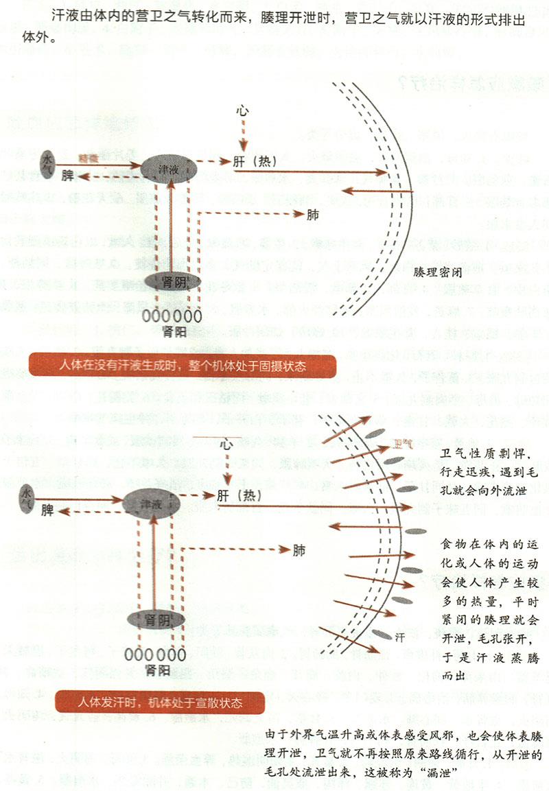 諸汗應(yīng)怎樣治療？