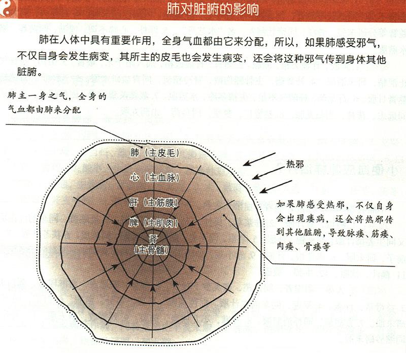 陰痿應(yīng)怎樣治療？