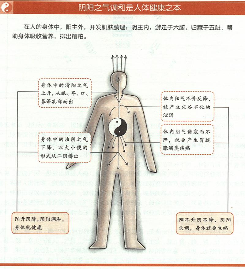 人為什么一定要陰陽調(diào)和才健康？