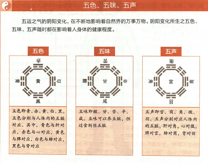 臟腑功能如何在體表上顯現(xiàn)？