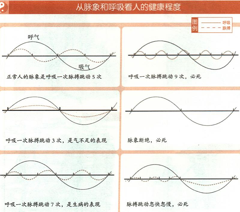 如何從脈象和呼吸推算健康？