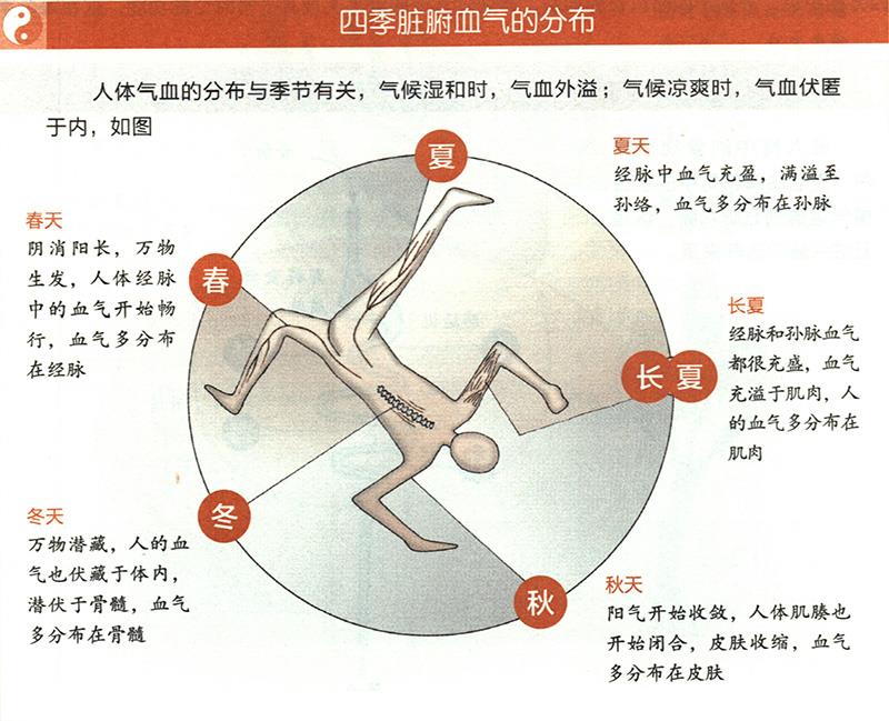 四季臟腑血氣是怎樣分布的？