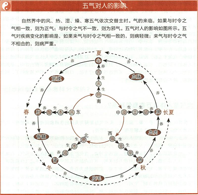 六氣與人體及萬(wàn)物有何聯(lián)系？