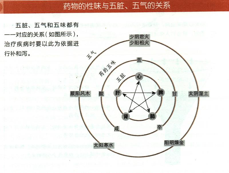 藥物的性味與五臟、五氣有什么關(guān)系？