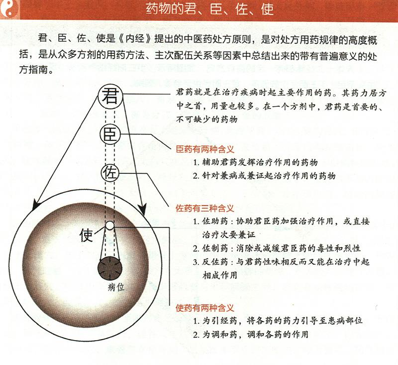 什么是藥物的君臣佐使？