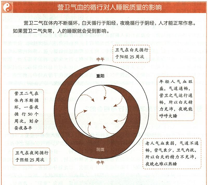 營衛(wèi)二氣在體內(nèi)是怎樣運行與相會的？