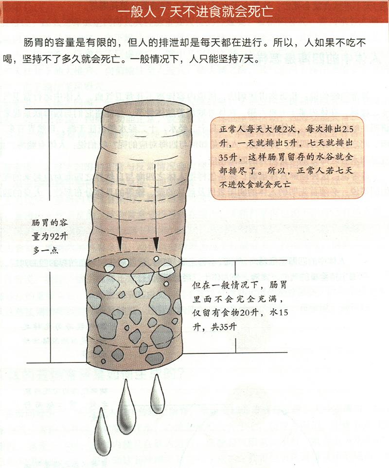 為什么7天不進食就會死亡？