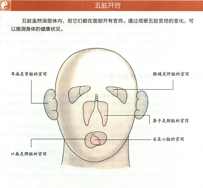 如何根據(jù)五官變化來(lái)診斷疾?。? /></a></div>
        </li>
        <li >
         <span></span>
         <p><a href=