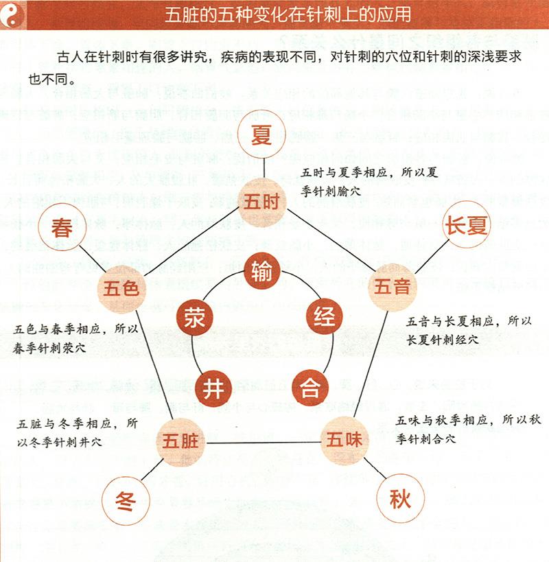 五臟的五種變化對應(yīng)的不同針刺法有哪些？