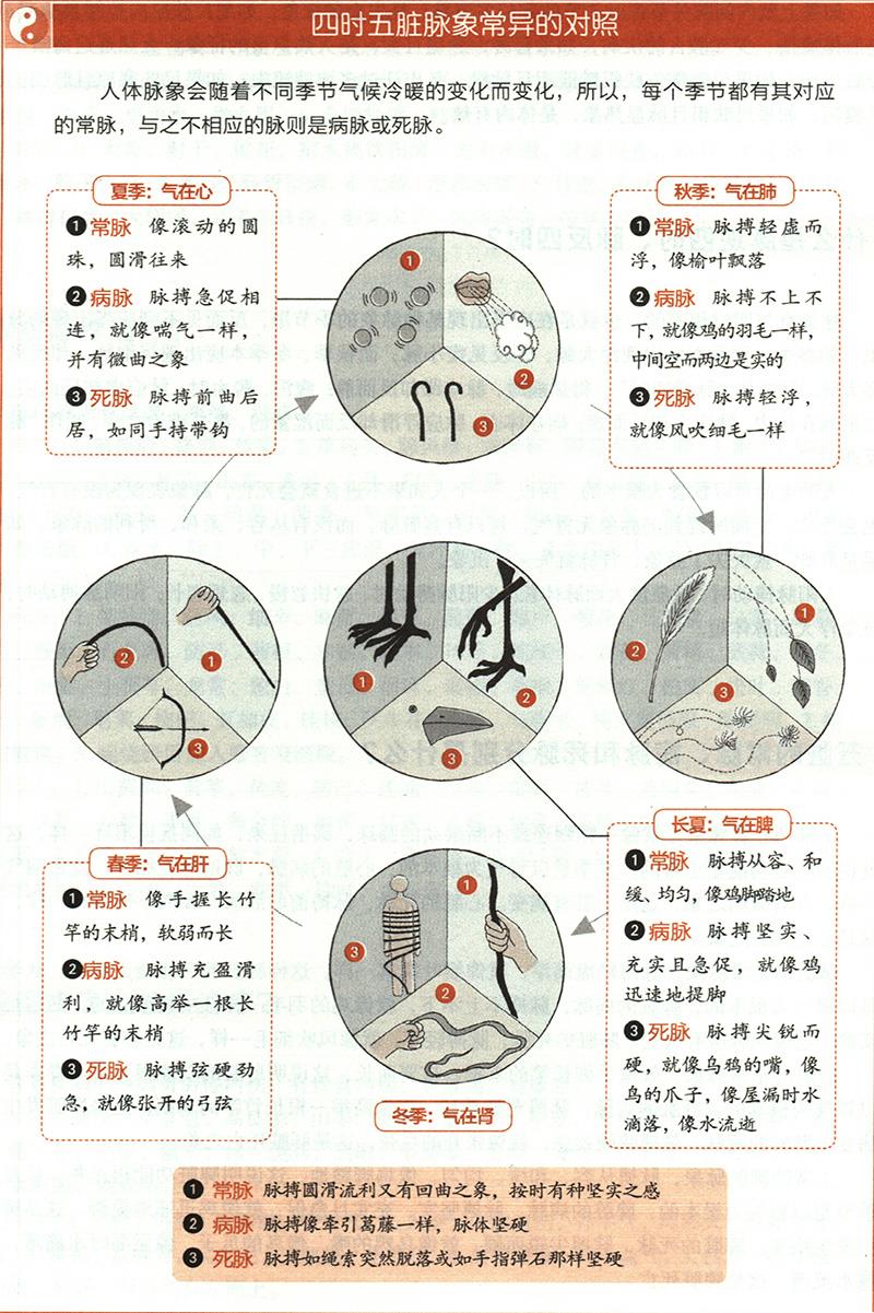 五臟的常脈、病脈和死脈分別是什么？