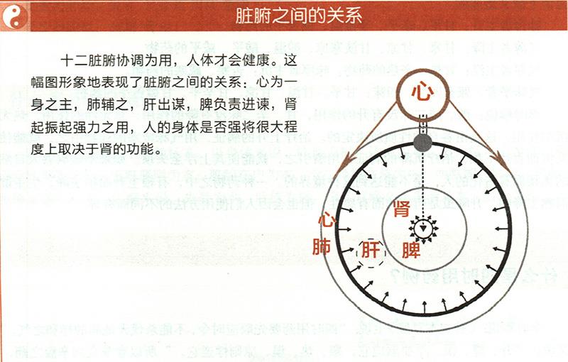 什么是五臟五味補瀉？