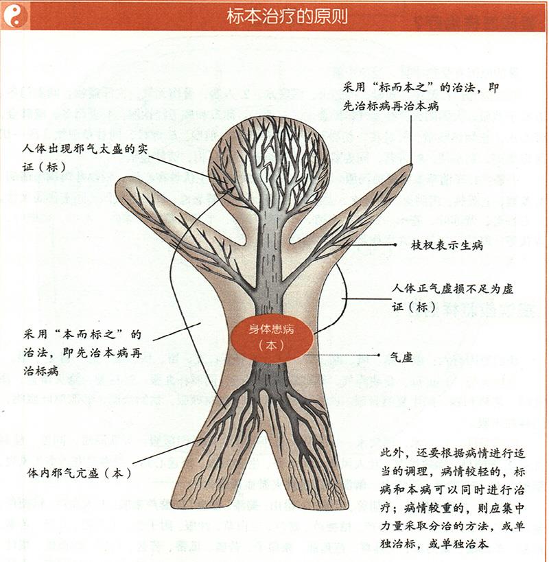 什么是標(biāo)本陰陽？